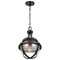 Nuvo Lincoln 1-Light E26 Pendant, E26 60W, Matte Black, Clear Seeded 60/7674 - alternate 3